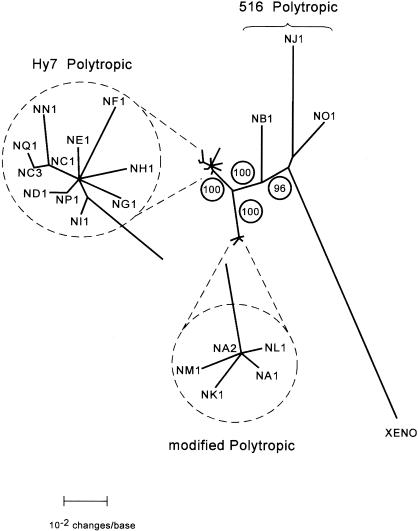 FIG. 4.