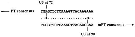 FIG. 9.