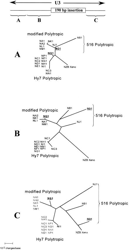 FIG. 8.