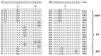 FIG. 10.