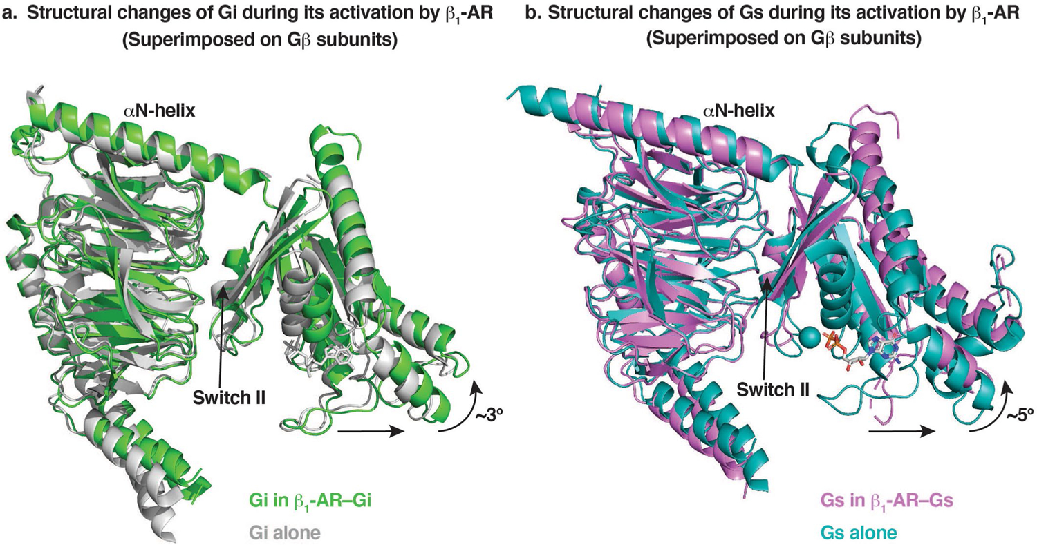 Extended Data Fig. 7