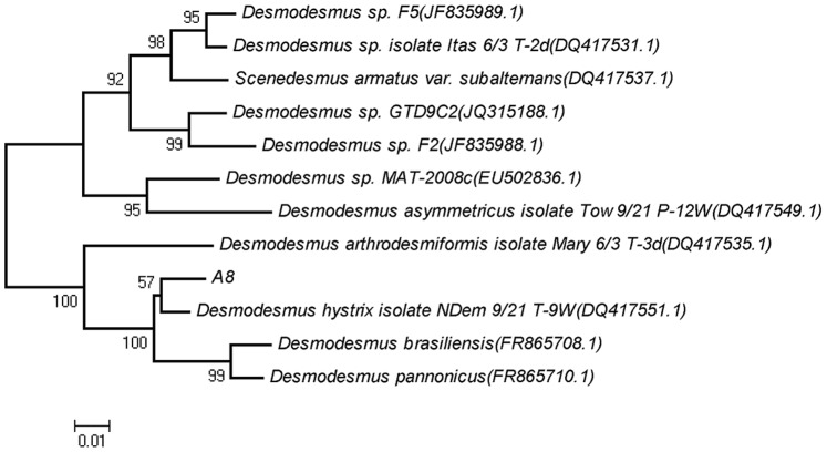 Figure 5