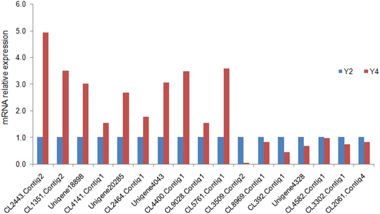 Figure 6