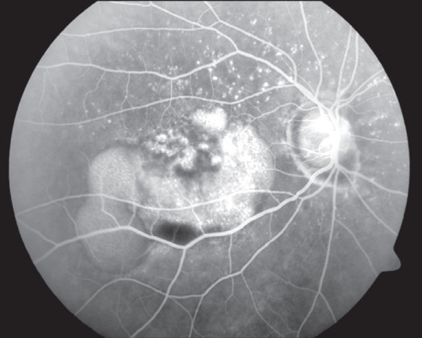 Fig. 3