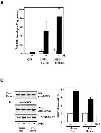 FIG. 9