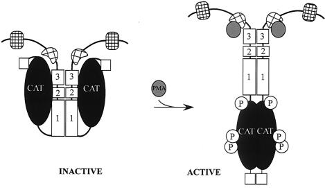 FIG. 10