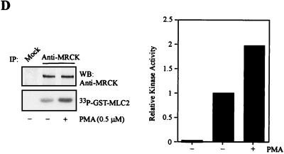 FIG. 9