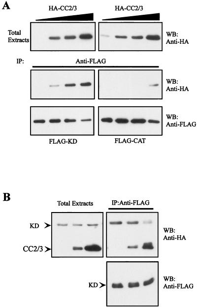 FIG. 8