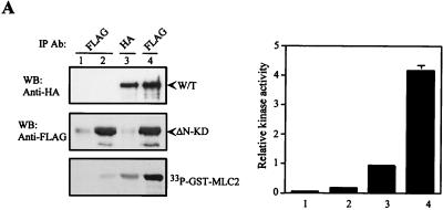 FIG. 9