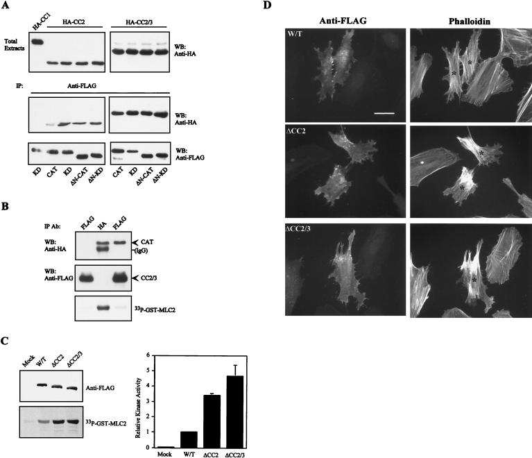 FIG. 7