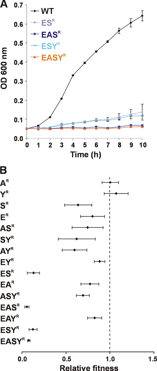 Fig 6