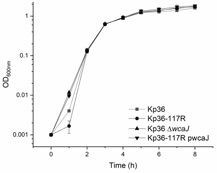 Figure 5