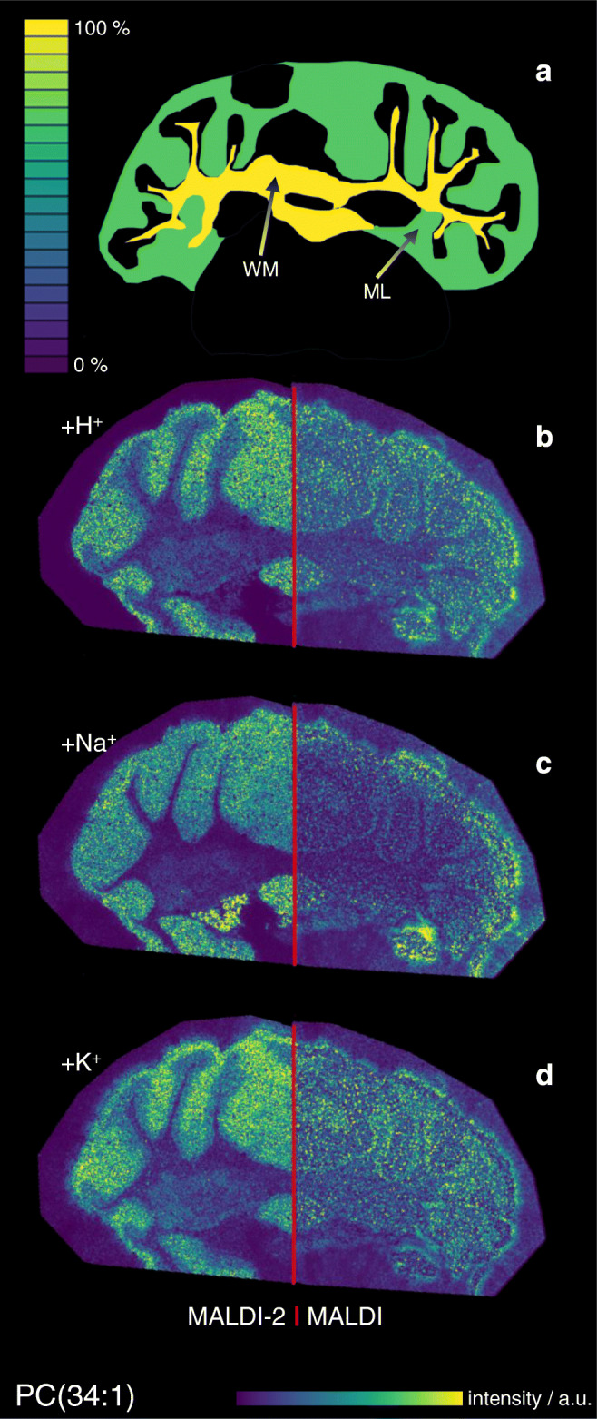 Fig. 3