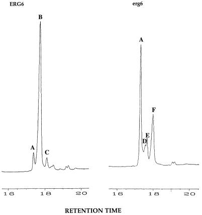 FIG. 5