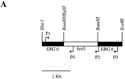 FIG. 6