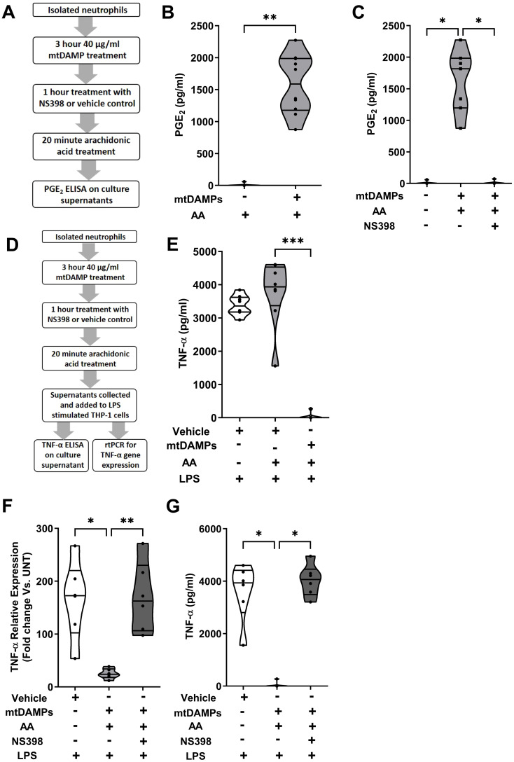 Figure 11