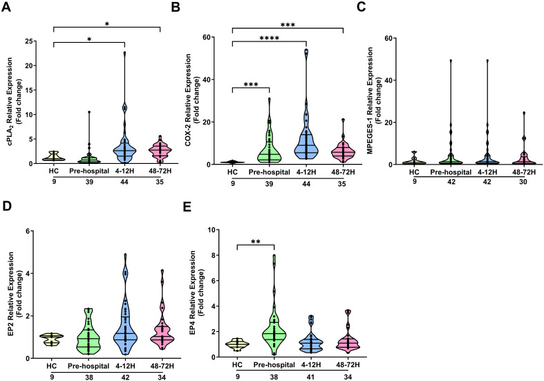 Figure 4