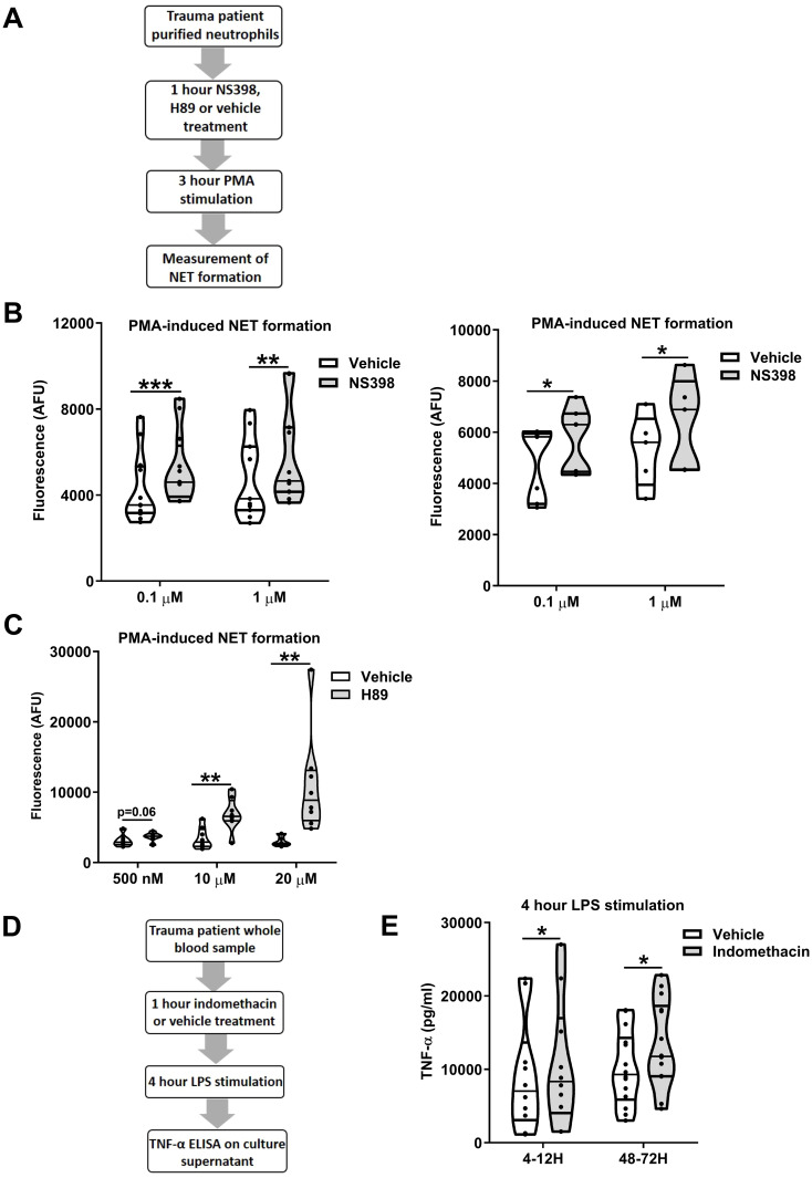 Figure 12