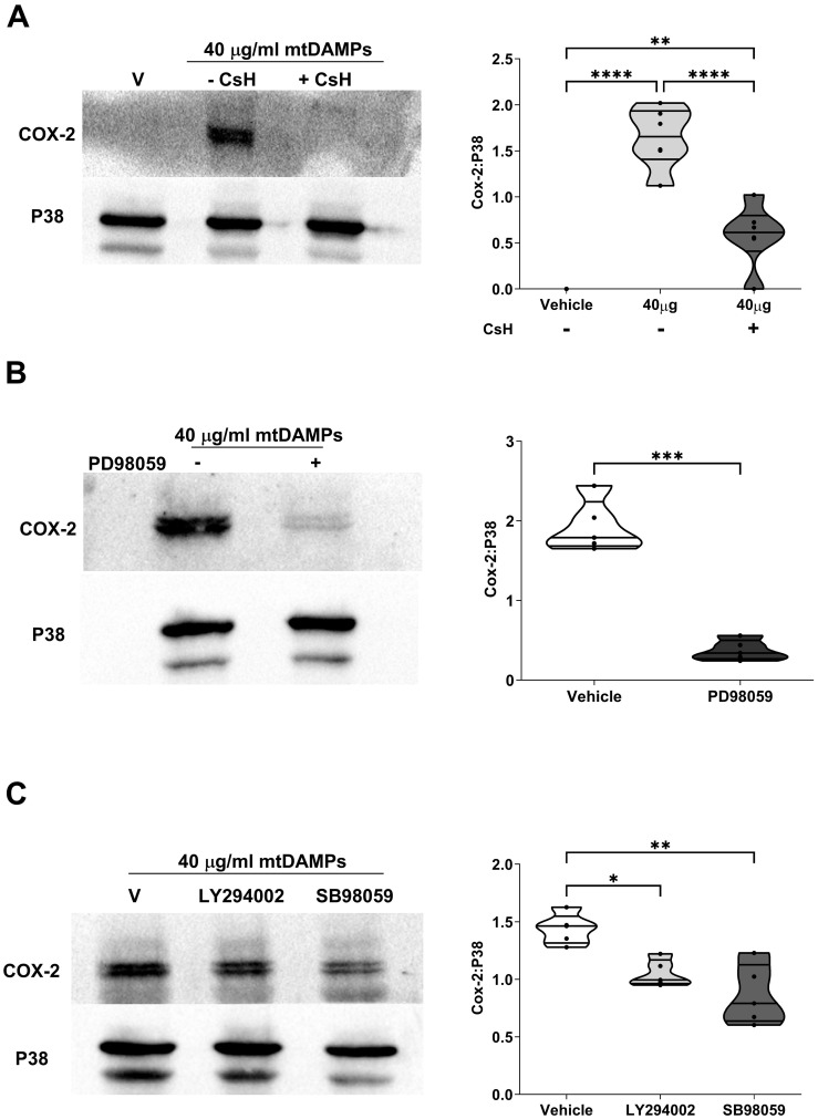 Figure 10