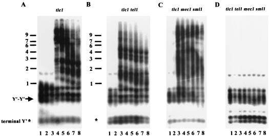 FIG. 5.