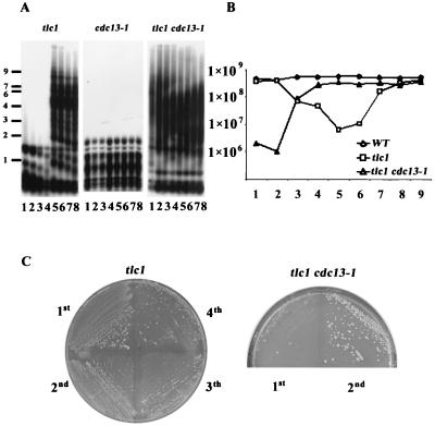 FIG. 6.