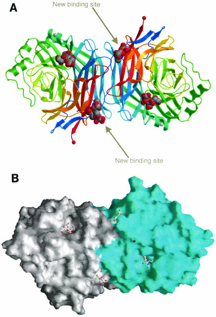 FIG. 2.