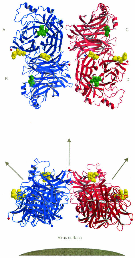 FIG. 4.