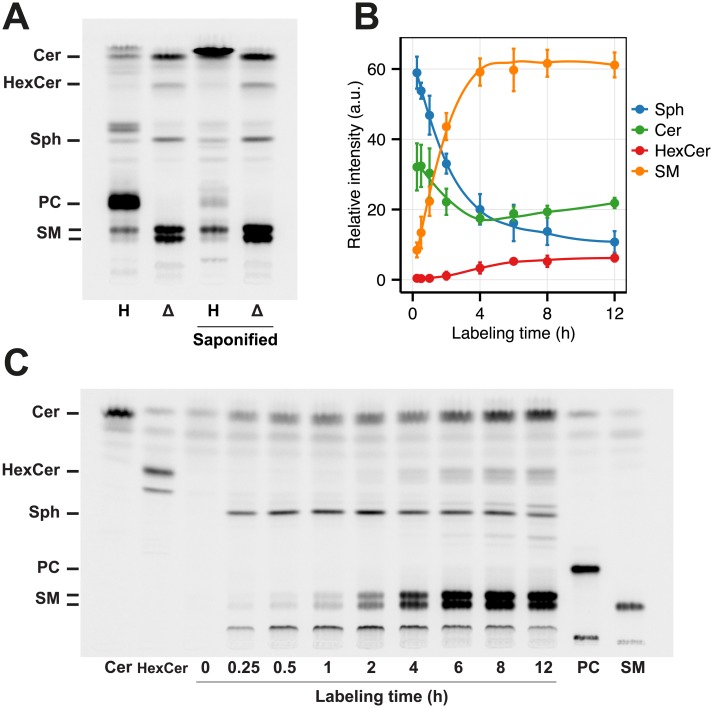 Fig 2