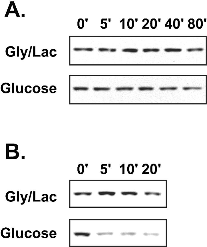 FIG. 8.