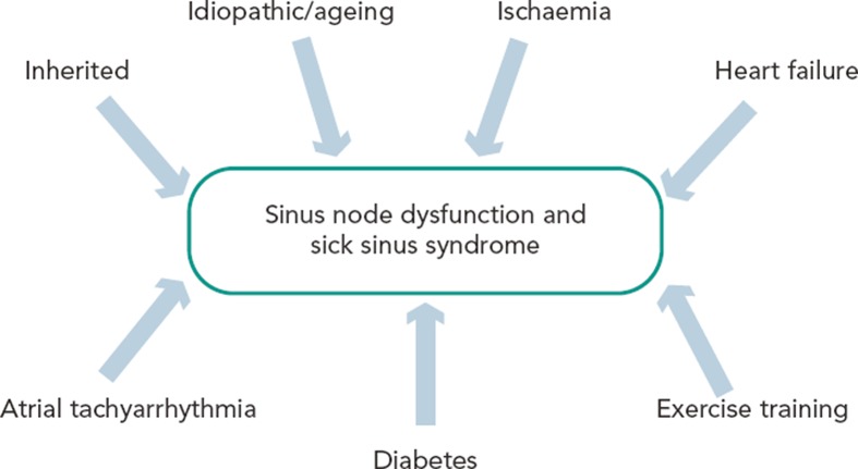 Figure 5: