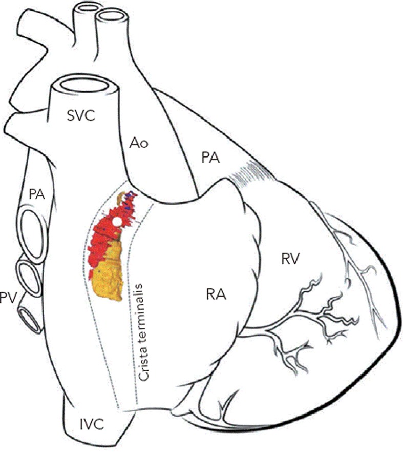 Figure 2: