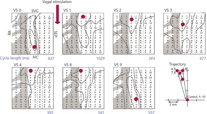 Figure 3: