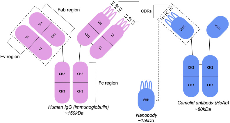 Figure 3