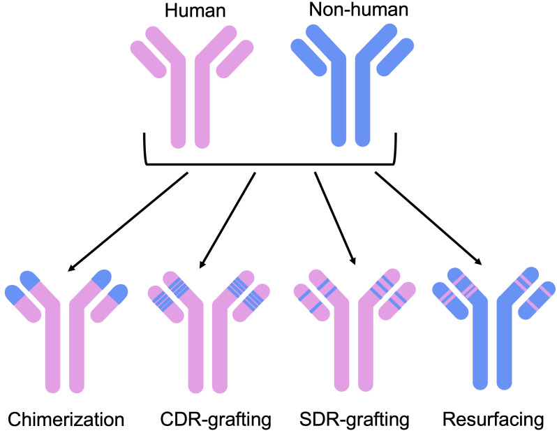 Figure 2