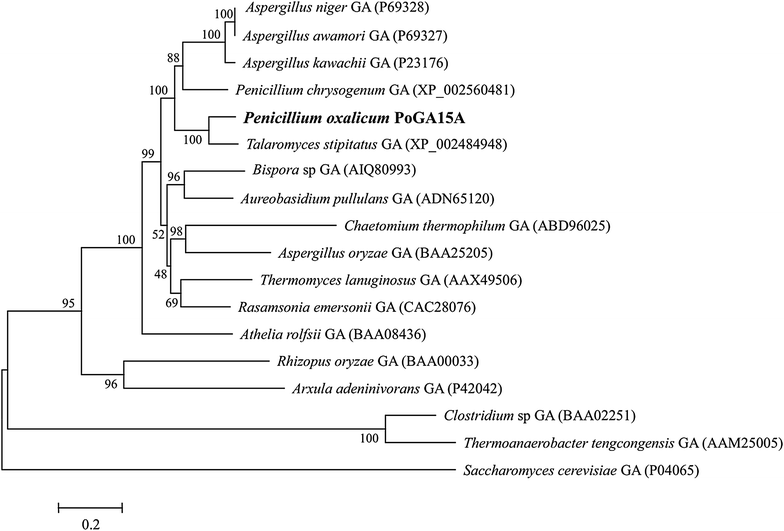 Fig. 4