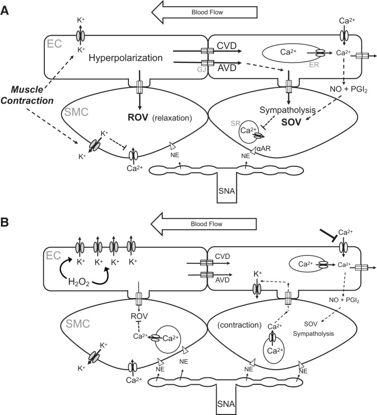 Fig. 2.