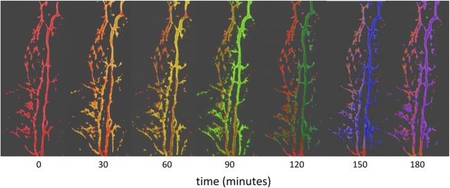 Fig. 3