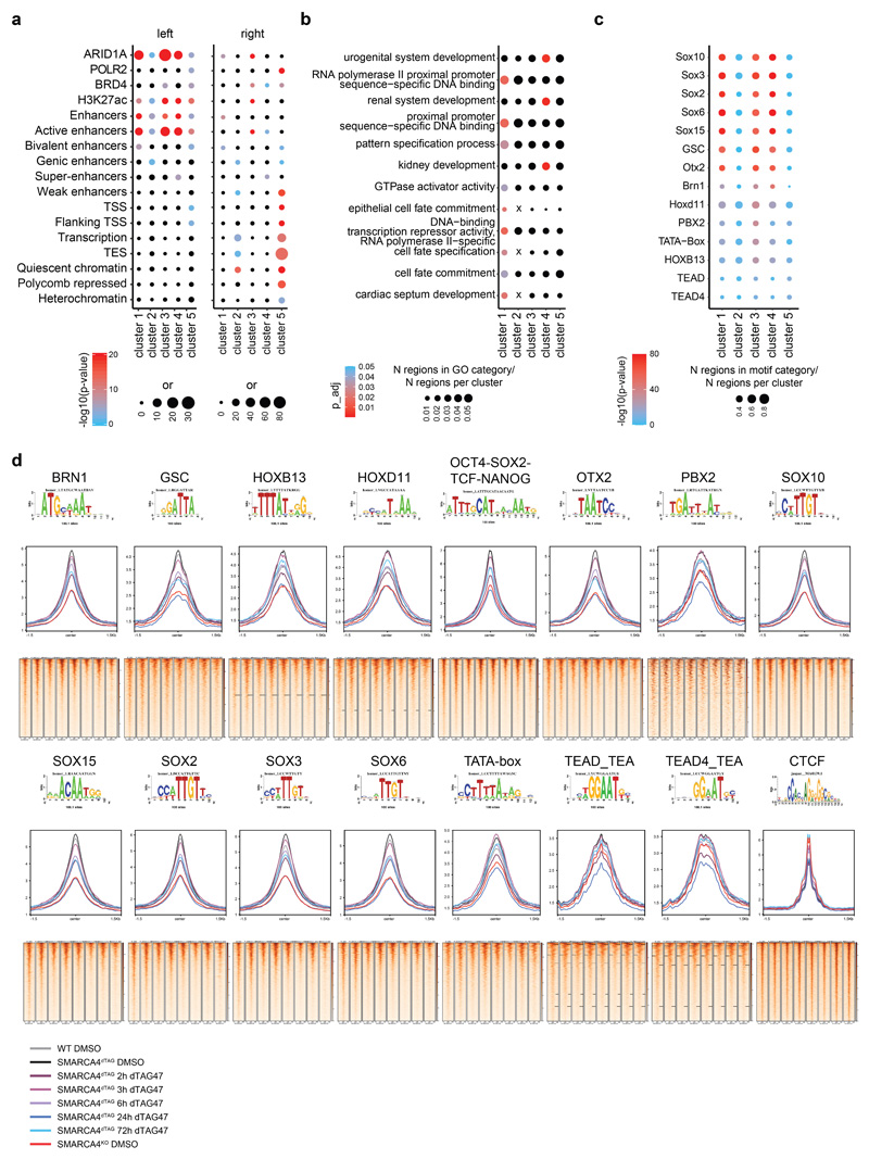 Extended Data Fig. 4