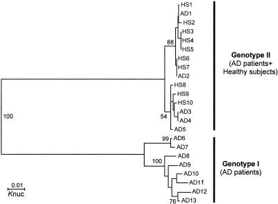 FIG. 2.