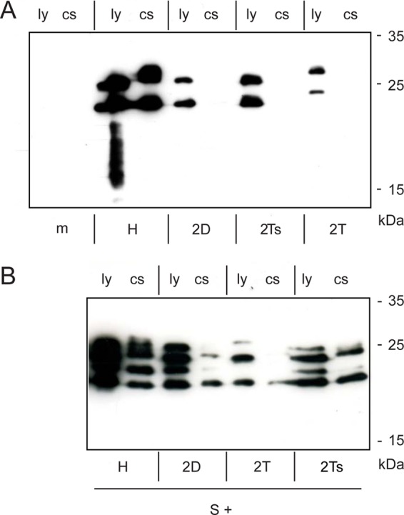 Fig 5