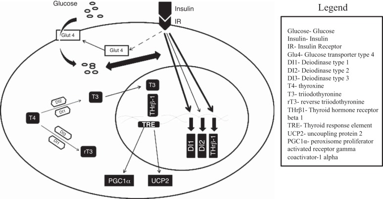 Fig. 8.