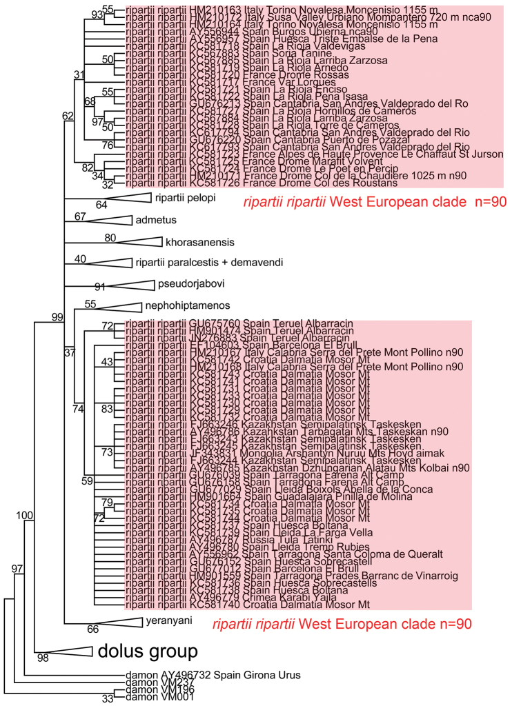 Figure 22.