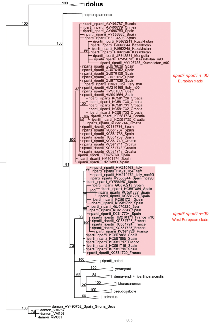 Figure 7.