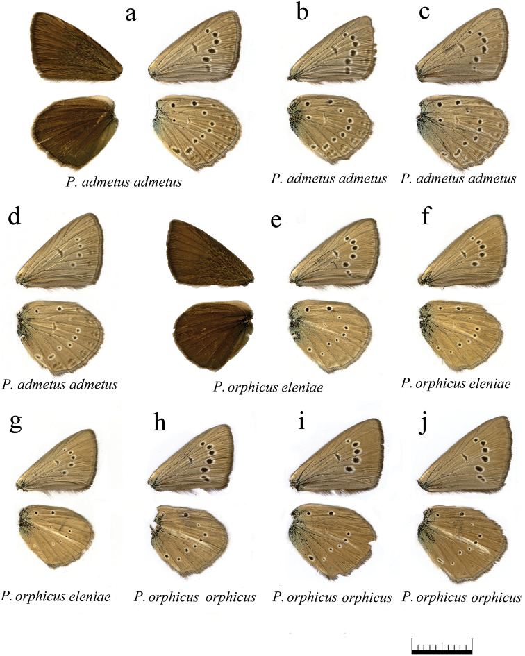 Figure 13.