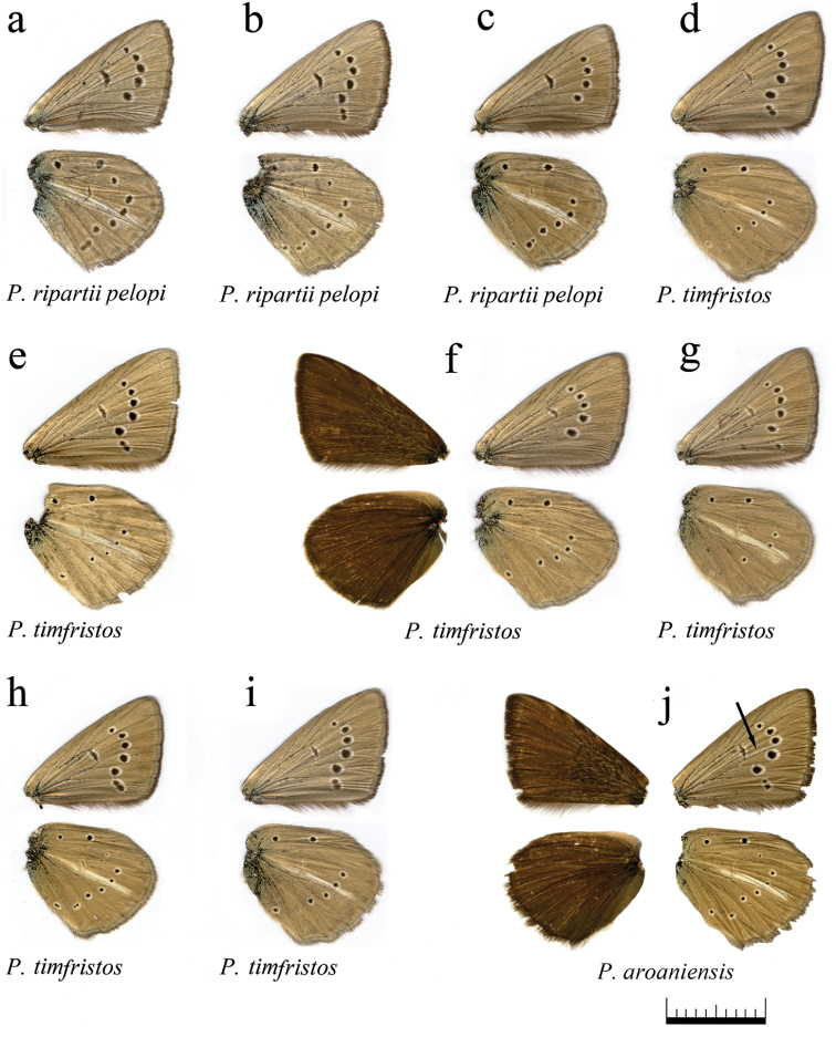 Figure 16.