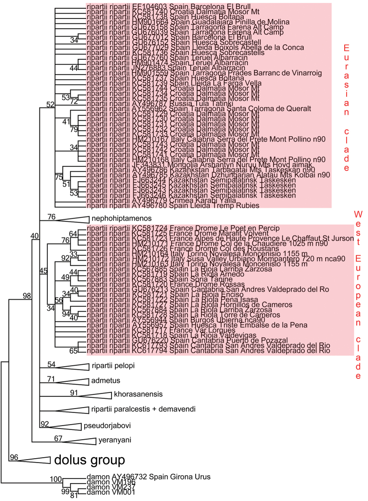 Figure 19.