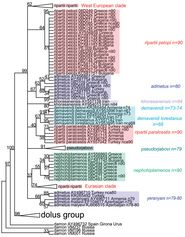 Figure 21.