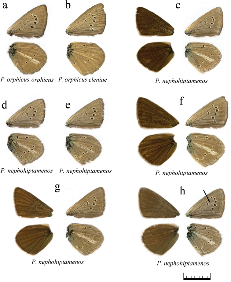 Figure 14.