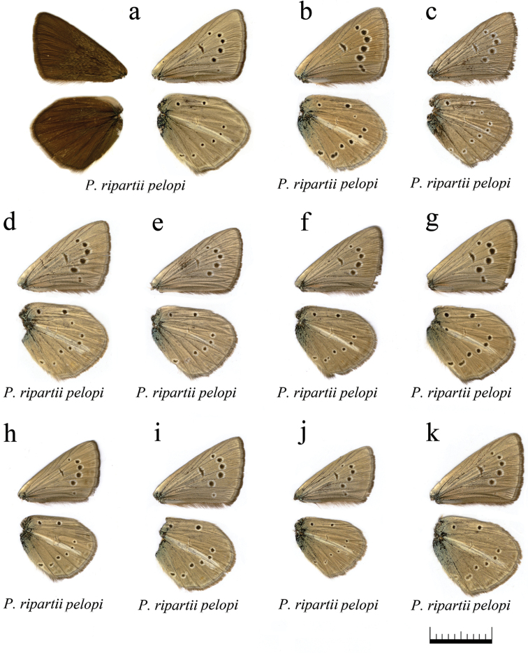 Figure 15.