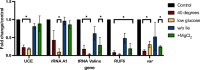 Figure 2—figure supplement 1.